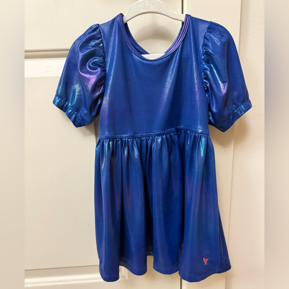 Pink Chicken Laurie Lame Dress 2t GUC